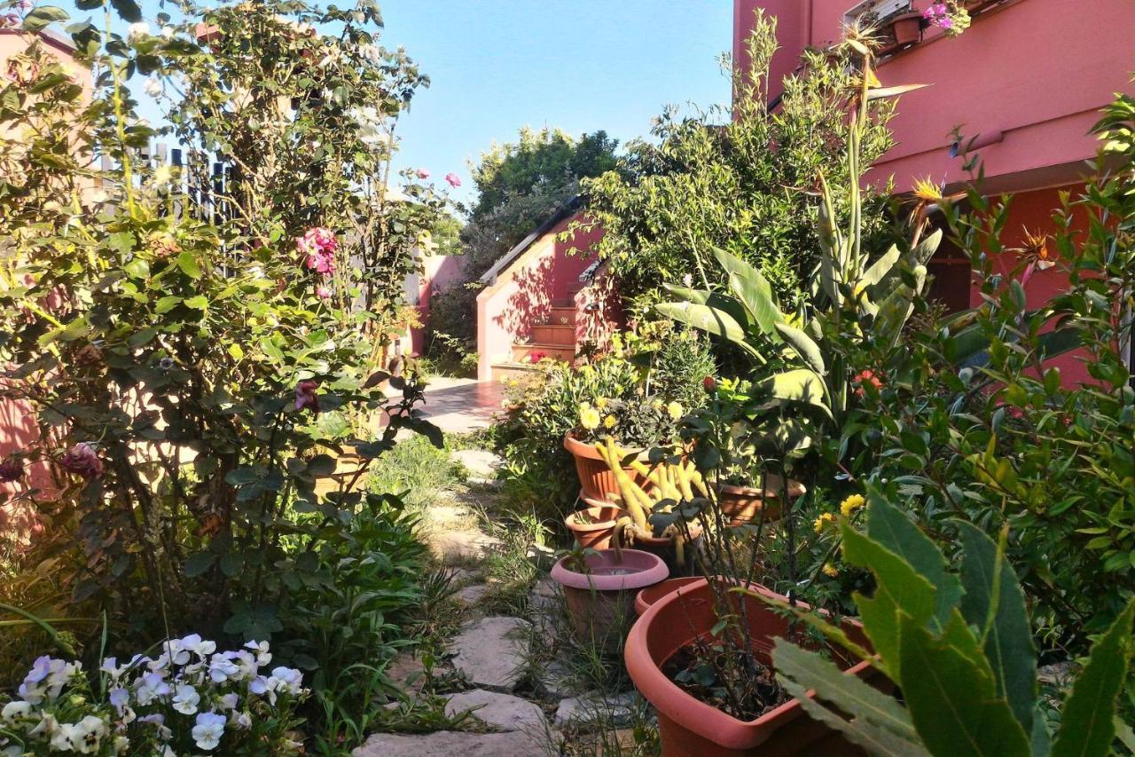 Corona Bed & Breakfast Sardara Zewnętrze zdjęcie